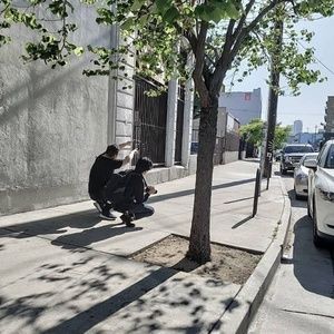 Meet your Posher, James